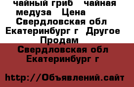 чайный гриб , чайная медуза › Цена ­ 100 - Свердловская обл., Екатеринбург г. Другое » Продам   . Свердловская обл.,Екатеринбург г.